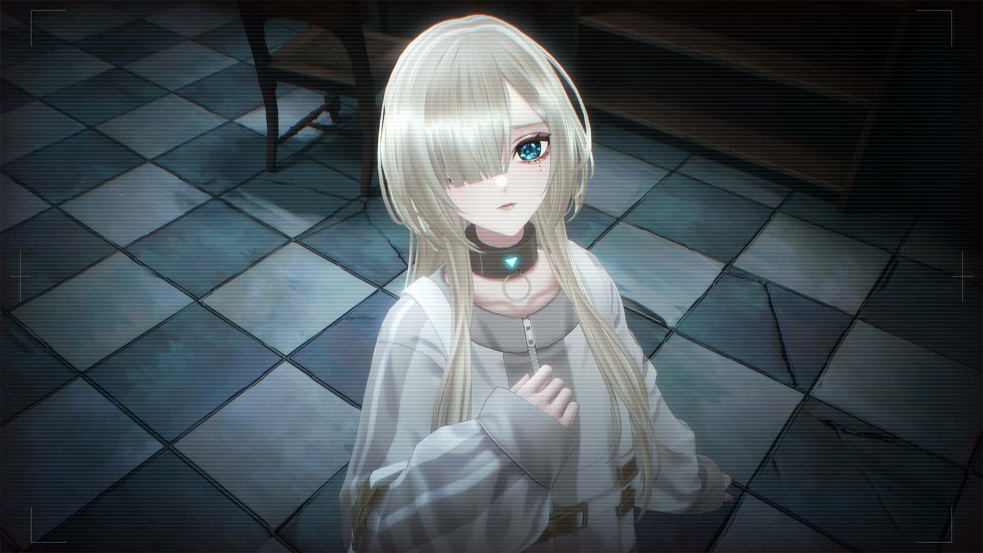 视觉数据4