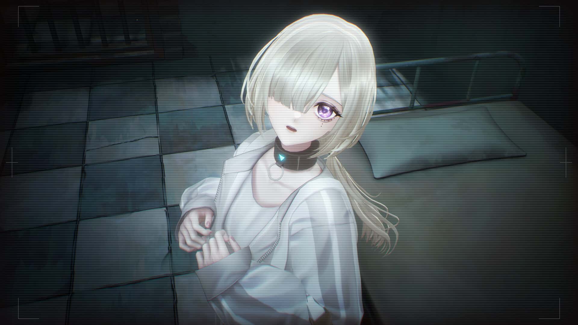视觉数据2